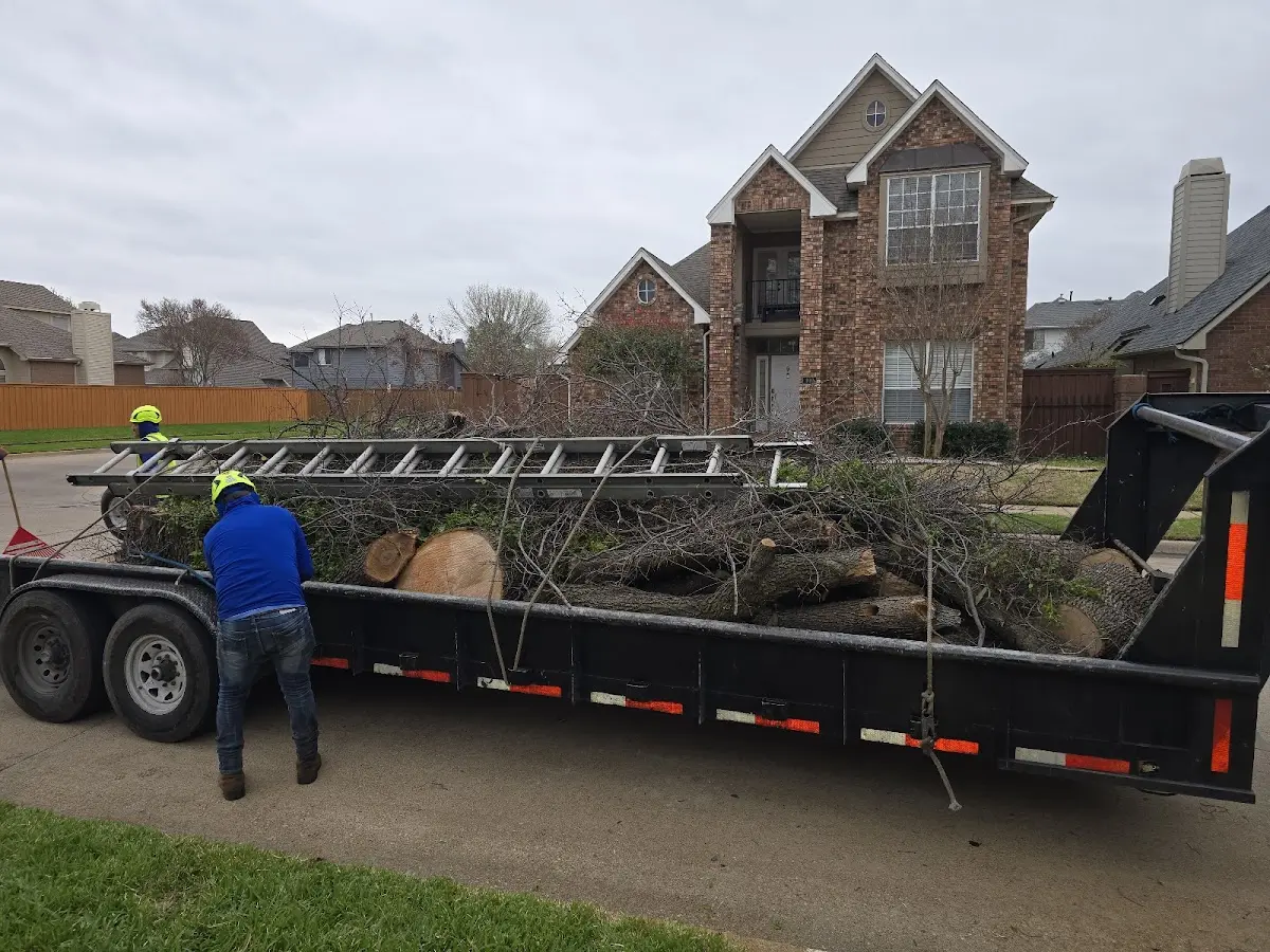 Expert Tree Removal with proper safety equipment in Louisburg